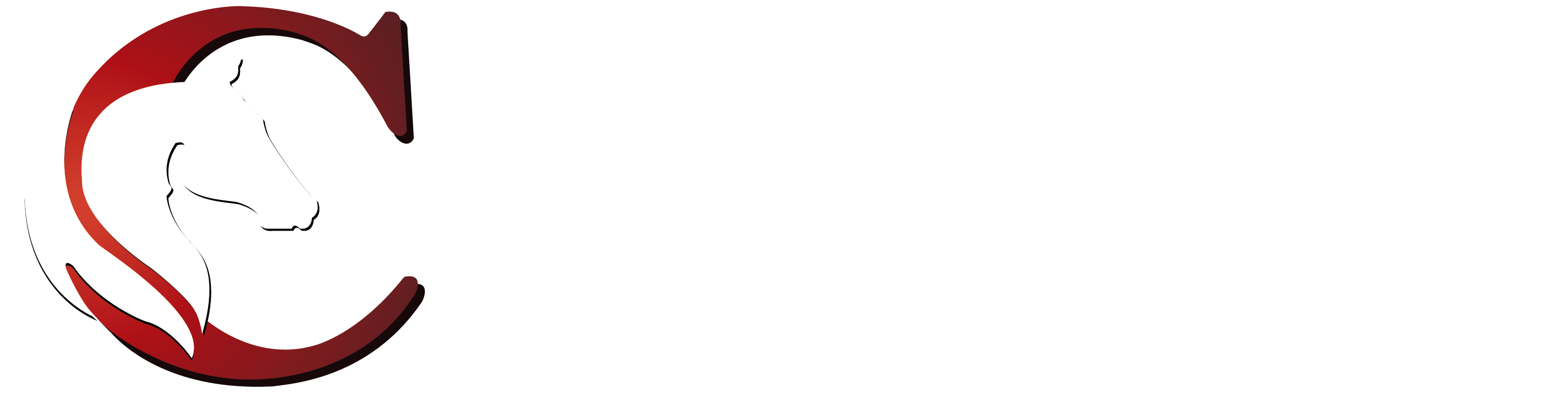 Your Company Logo
